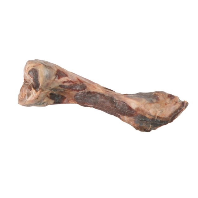 Kerbl kost od italské šunky