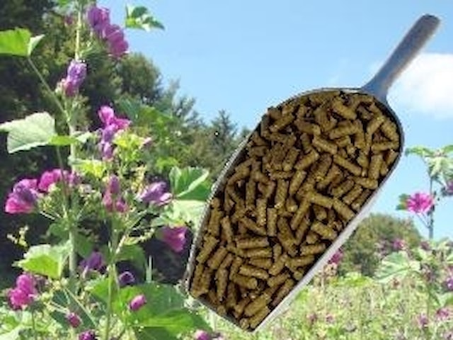 Seno granulované pro koně 25 kg