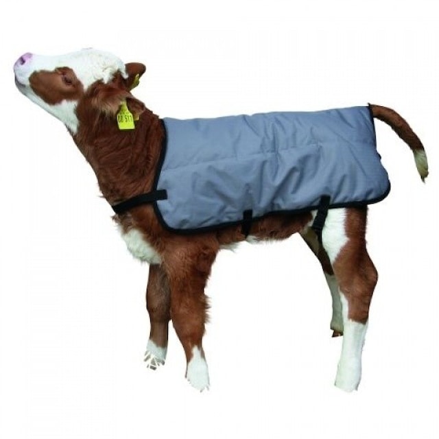 Deka na tele - KERBL