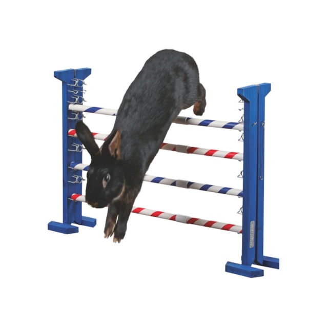 Agility vysoká překážka pro králíky a jiné hlodavce - králičí hop