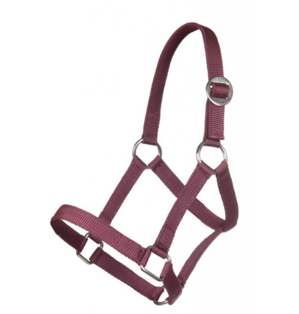 Ohlávka - Mini shetty vínová