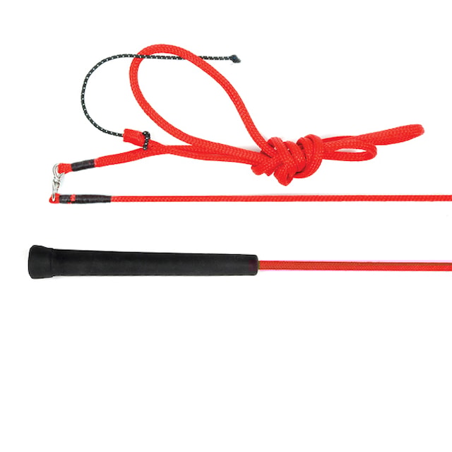 Bič lonžovací s obrtlíkem WHIP&GO 160 cm černý