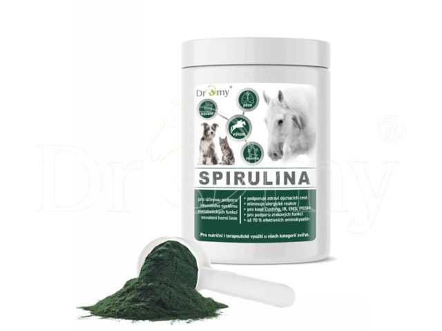 Dromy Spirulina 1,2kg
