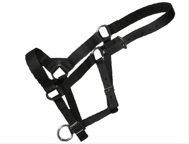 Ohlávka na chladnokrevníka  černá