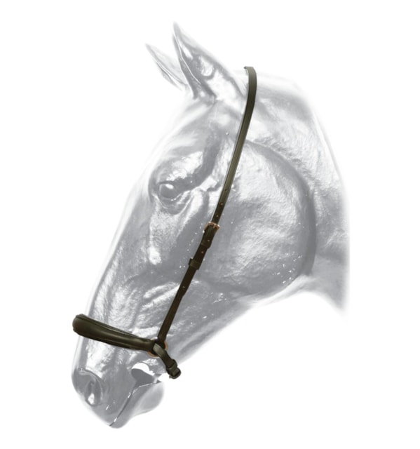 Nánosník hanoverský