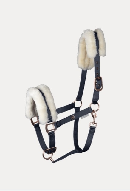 Ohlávka Modern Rosé modrá Cob