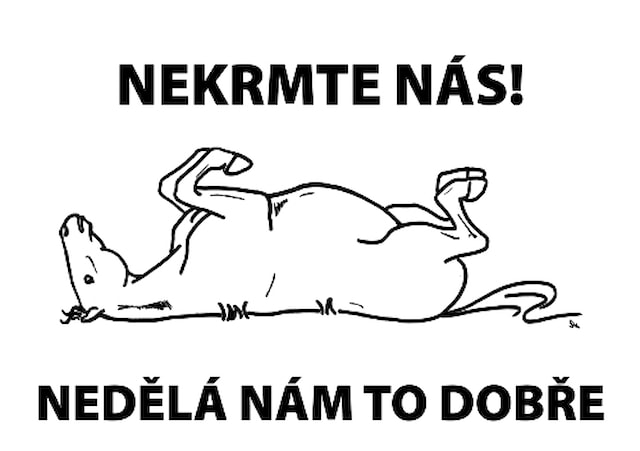 Tabulka výstražná "NEKRMTE NÁS" pro koně