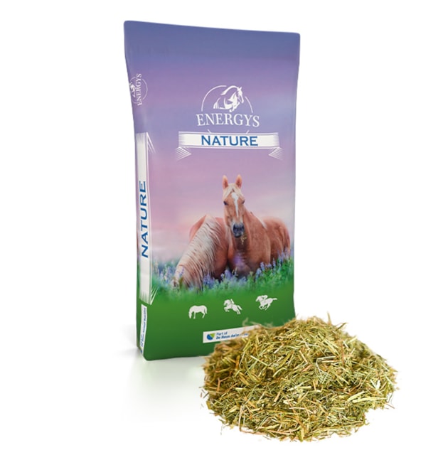 Řezanka vojtěško-travní Energys 12 kg