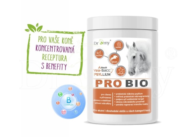 DROMY ProBio 600 g