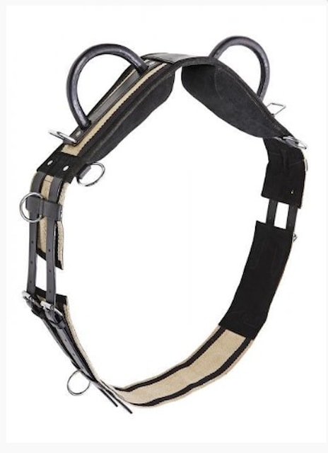 Obřišník BUSSE DOUBLE se 2 madly