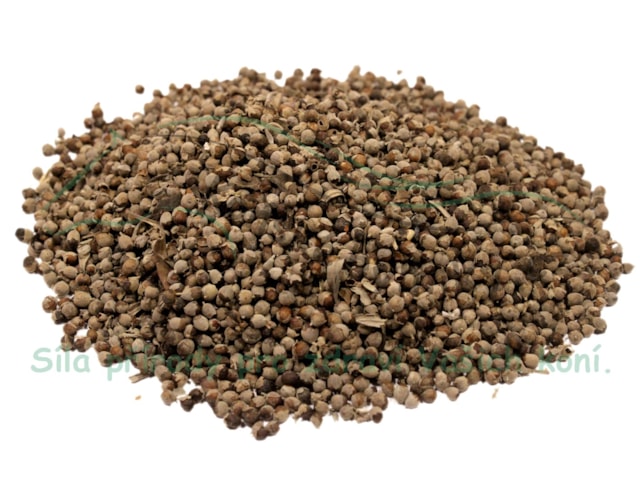 Drmek obecný plod 1kg (semeno celé)