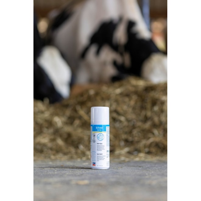 aloxan-stribrny-sprej-200-ml