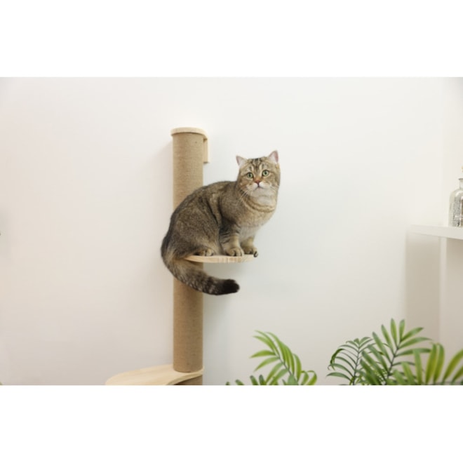 skrabadlo-pro-kocky-nastenny-sloupek-s-odpocivadly-127-cm