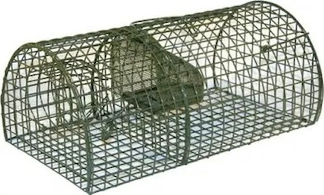 Past na krysy ALIVE multiRAT, 40cm