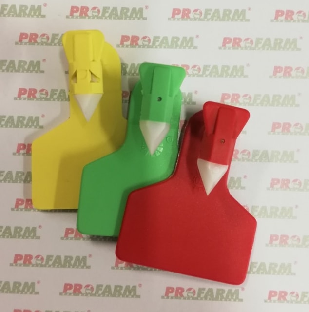 Ušní známka ZEE TAGS jednodílná medium