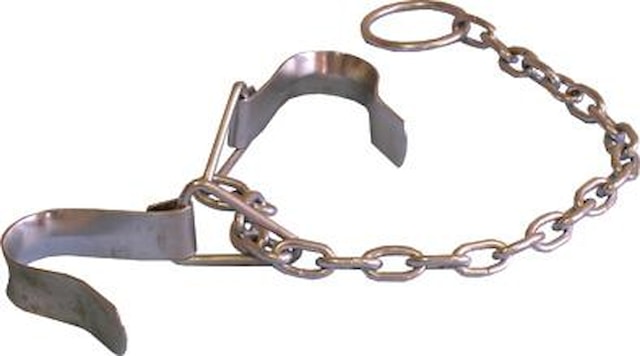 Pouta řetízková (proti kopání krav)