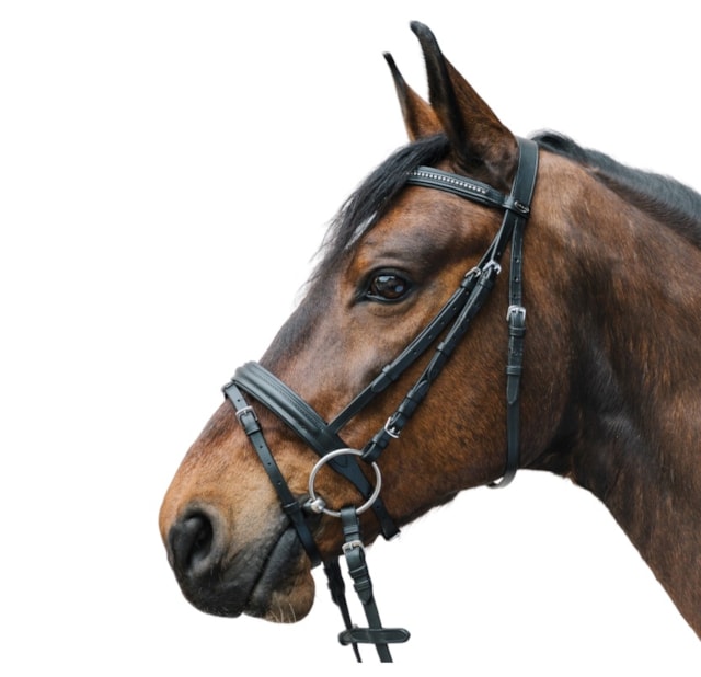 Uzdečka Star Diamond černá Pony