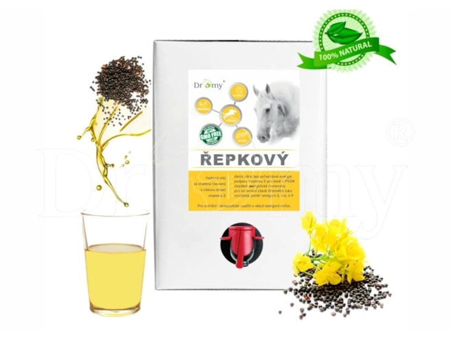 olej repka
