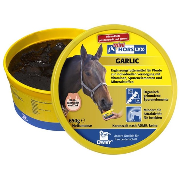Liz pro koně HORSLYX Garlic 650g
