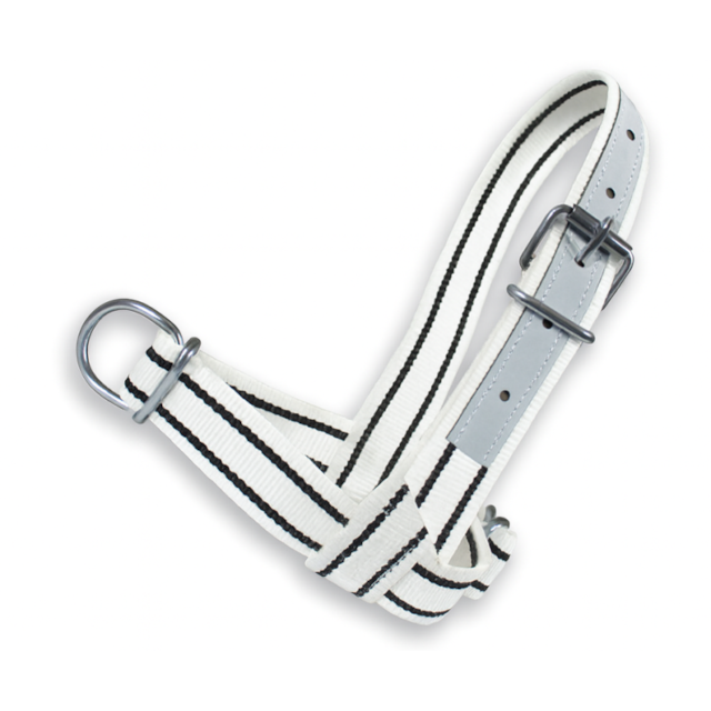 Ohlávka pro telata bílá