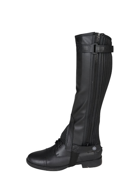 Minichaps Horka Rexion