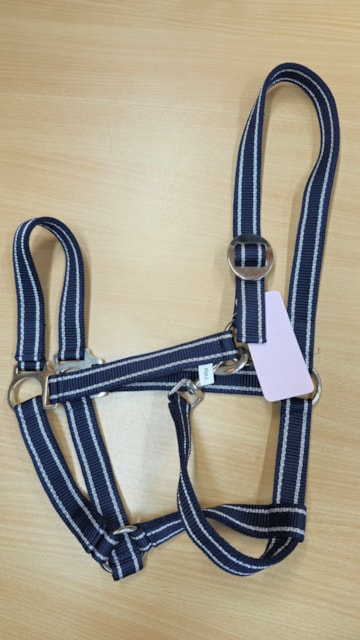 Ohlávka Kentaur nylonová ekonomická modrá