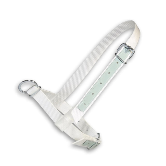 Ohlávka pro krávy a mladé býčky, nastavitelná