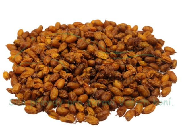 Rakytník řešetlákový (plod) 1kg