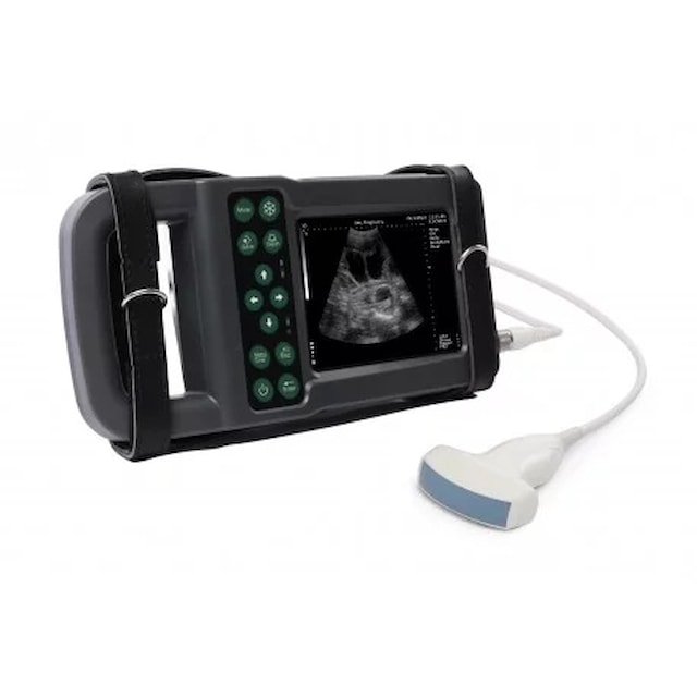 Ultrazvukový skener KX5600L s digitální abdominální sondou