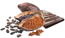 BX Nicaragua BIO hořká 85% čokoláda 80g