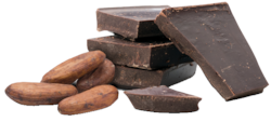 BX Peru BIO hořká 100 % čokoláda  80g