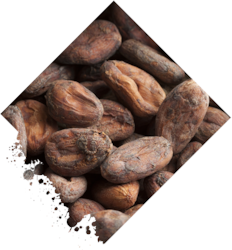 BX Congo BIO hořká 91% čokoláda 80g