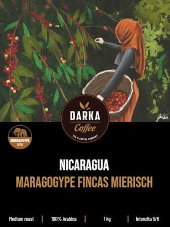 Nicaragua Maragogype Fincas Mierisch