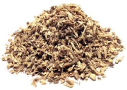 Sladké drievko koreň - rez