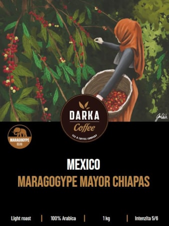 Mexico Maragogype Mayor Chiapas