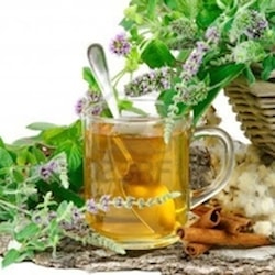 Zdravé hubnutí - bylinný čaj