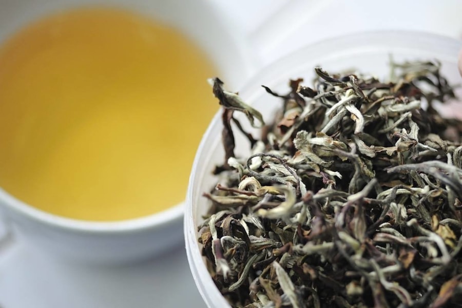 Pozitivní účinky bílého čaje na naše zdraví