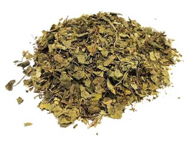 Gotu kola - Pupočník vňať - rez