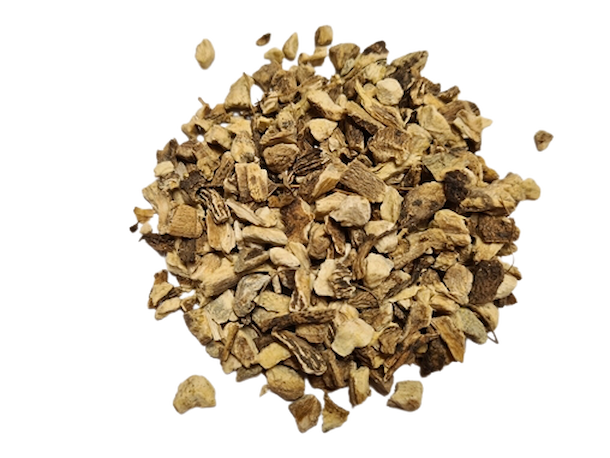 Galgán kořen - řez