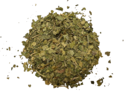 Moruše list bílá - řez