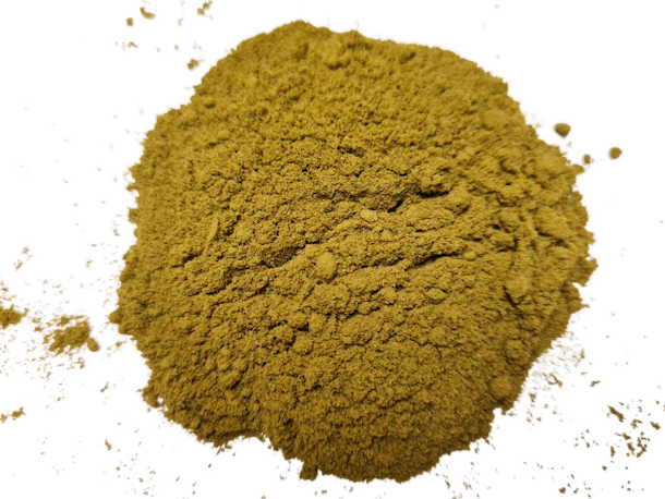 Ginkgo  (Jinan list) - jemně mletý