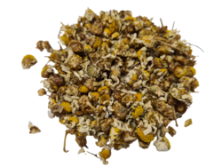 Sedmokráska kvet "obyčajná"