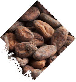 BX Congo BIO hořká 91% čokoláda 75g