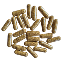 Kapsule Horec koreň