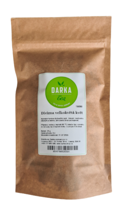 Divizna velkokvětá květ