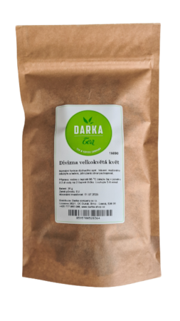 Divizna velkokvětá květ