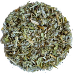 Grécky horský čaj - Hojník horský - bylinný čaj