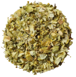 Chmeľ šištice - rez