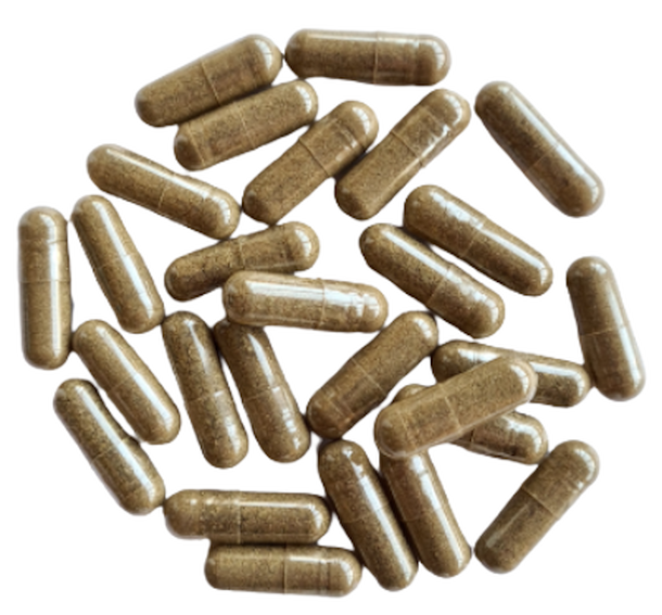 Kapsule Pupočník ázijský - Gotu kola