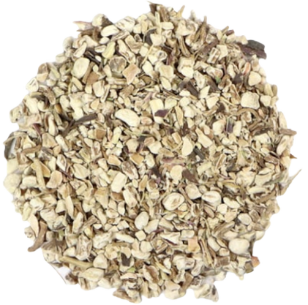 Pampeliška kořen - řez